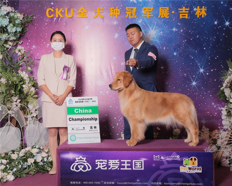 中國登錄冠軍-翡翠