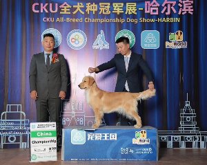 中國永久登錄冠軍—瑪瑙